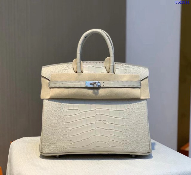 Hermes專櫃經典款鱷魚皮包 愛馬仕birkin25冰川白美洲鱷魚皮銀扣全手工 ttd1514